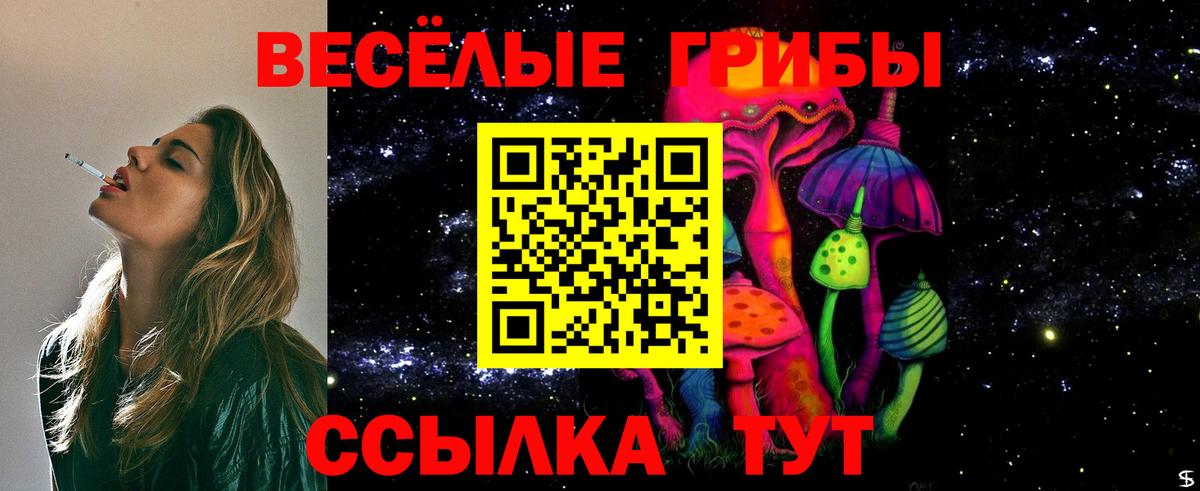 Галлюциногенные грибы Magic Shrooms Карасук
