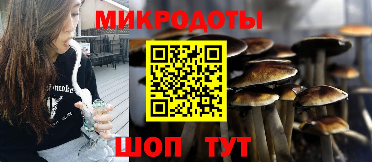 Карасук  Галлюциногенные грибы мухоморы  Вход с VPN 