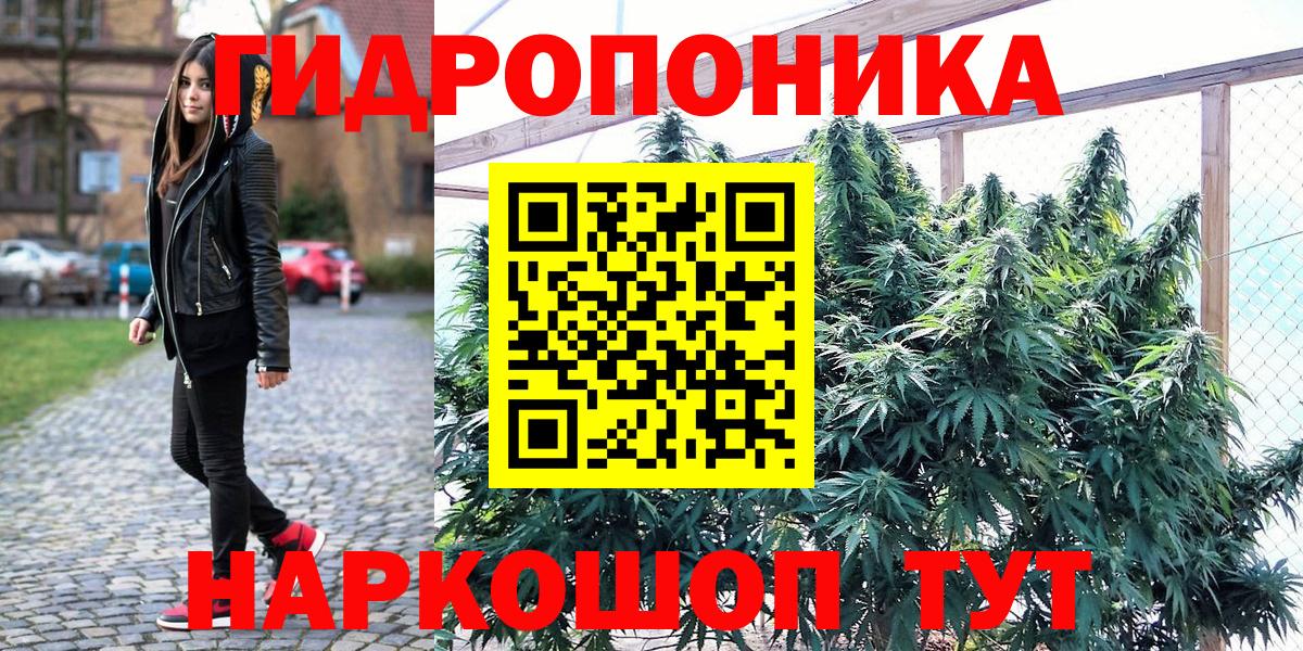Бошки марихуана SATIVA & INDICA Карасук